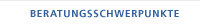 Beratungsschwerpunkte