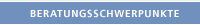 Beratungsschwerpunkte